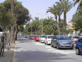 Palm Lined Streets of La Zenia